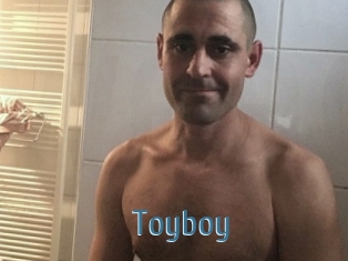 Toyboy