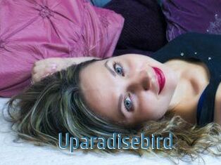 Uparadisebird
