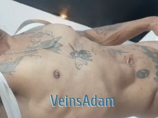 VeinsAdam