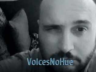 VoicesNoHue