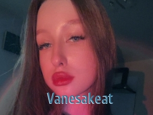 Vanesakeat