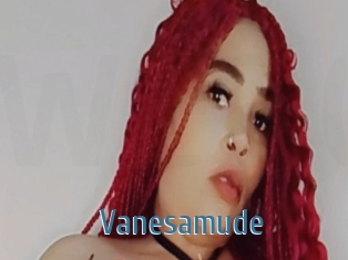 Vanesamude