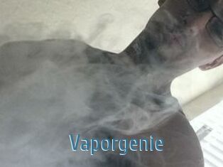 Vapor_genie