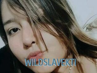 WILDSLAVEKTI