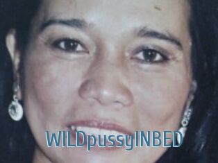 WILDpussyINBED