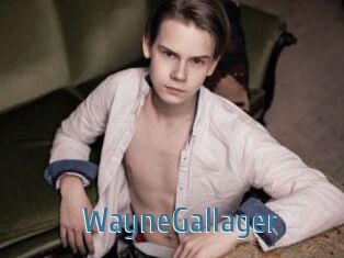 WayneGallager