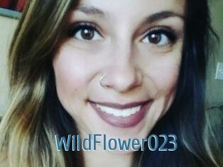 WildFlower023