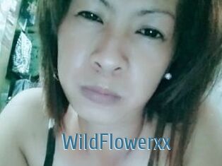 WildFlowerxx