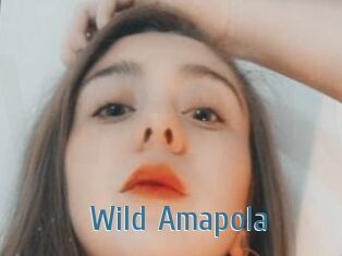 Wild_Amapola