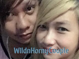 WildnHornyCouple