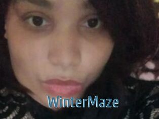 Winter_Maze