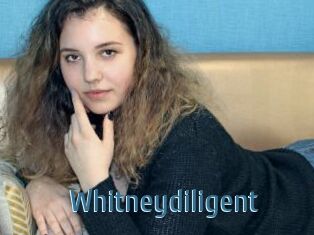Whitneydiligent