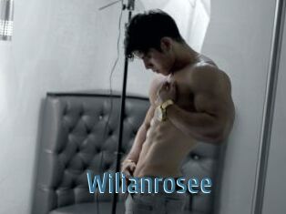 Wilianrosee