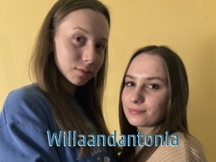 Willaandantonia