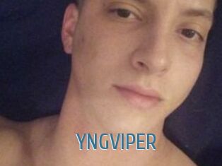 YNGVIPER