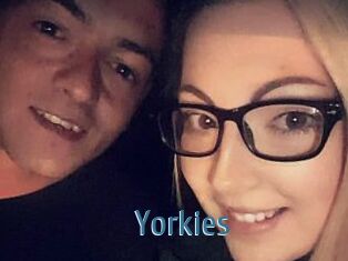 Yorkies