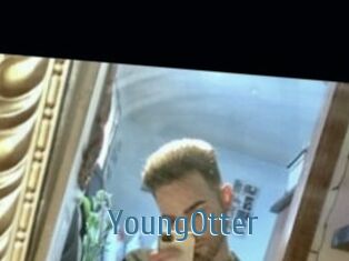 YoungOtter