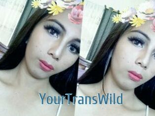 YourTransWild