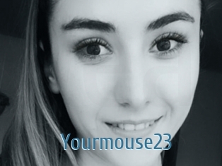 Yourmouse23