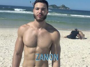 ZANON Web adult links