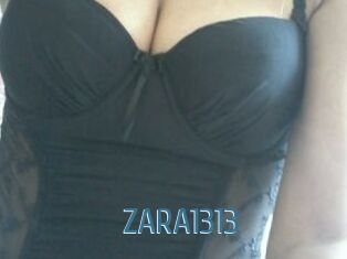 ZARA1313