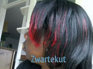 Zwartekut