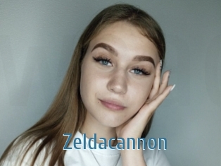 Zeldacannon