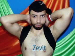 Zevit