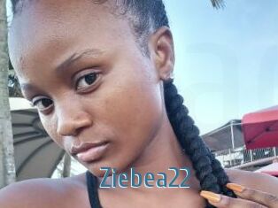 Ziebea22