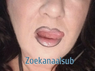 Zoekanaalsub
